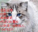 深圳福田华强北华新注册一般纳税人进出口公司有什么条件？