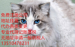 图片0