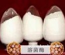 现货正品溶菌酶价格高效食品级防腐剂保鲜剂溶菌酶一公斤起订图片