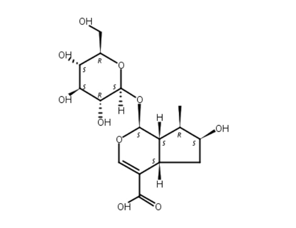 22255-40-9南京源植生物对照品马钱苷酸loganicacid标准品.