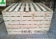 山东木托盘君众包装托盘生产基地图片4