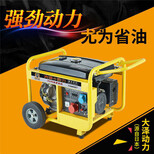大泽动力TO9000ET8kw汽油发电机图片2