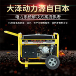 大泽动力TO9000ET8kw汽油发电机图片3