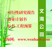 咸宁代写可行性研究报告公司立项图片2