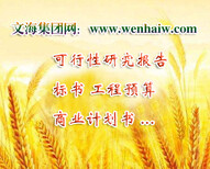 咸宁代写可行性研究报告公司立项图片0