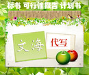东莞代做项目实施方案代写公司计划书