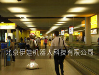 2017新版机场迎宾导览机器人,艾娃机器人，迎宾咨询机器人图片2