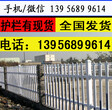 宿州砀山绿化护栏（给力畅销）