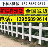 商丘梁园pvc草坪围栏多少钱图片4