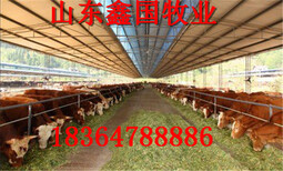 今日当天肉牛价格报价图片1