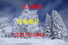 山东瀚雪新产品雪地摩托车厂家双人雪地摩托车雪场规划图片1