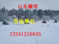 山东瀚雪新产品雪地摩托车厂家双人雪地摩托车雪场规划图片4