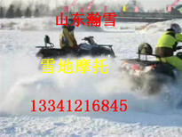 山东瀚雪新产品雪地摩托车厂家双人雪地摩托车雪场规划图片5