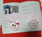 图片0