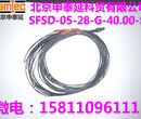 SFSD-05-28-G-40.00-S申泰