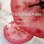 图片0