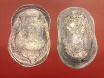 满洲里银锭子快速交易图片5