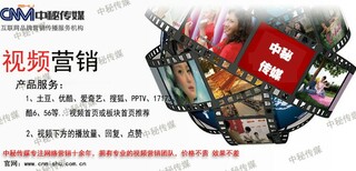 图片0