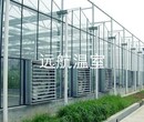 青州市远航温室养殖大棚，蔬菜大棚等温室建设