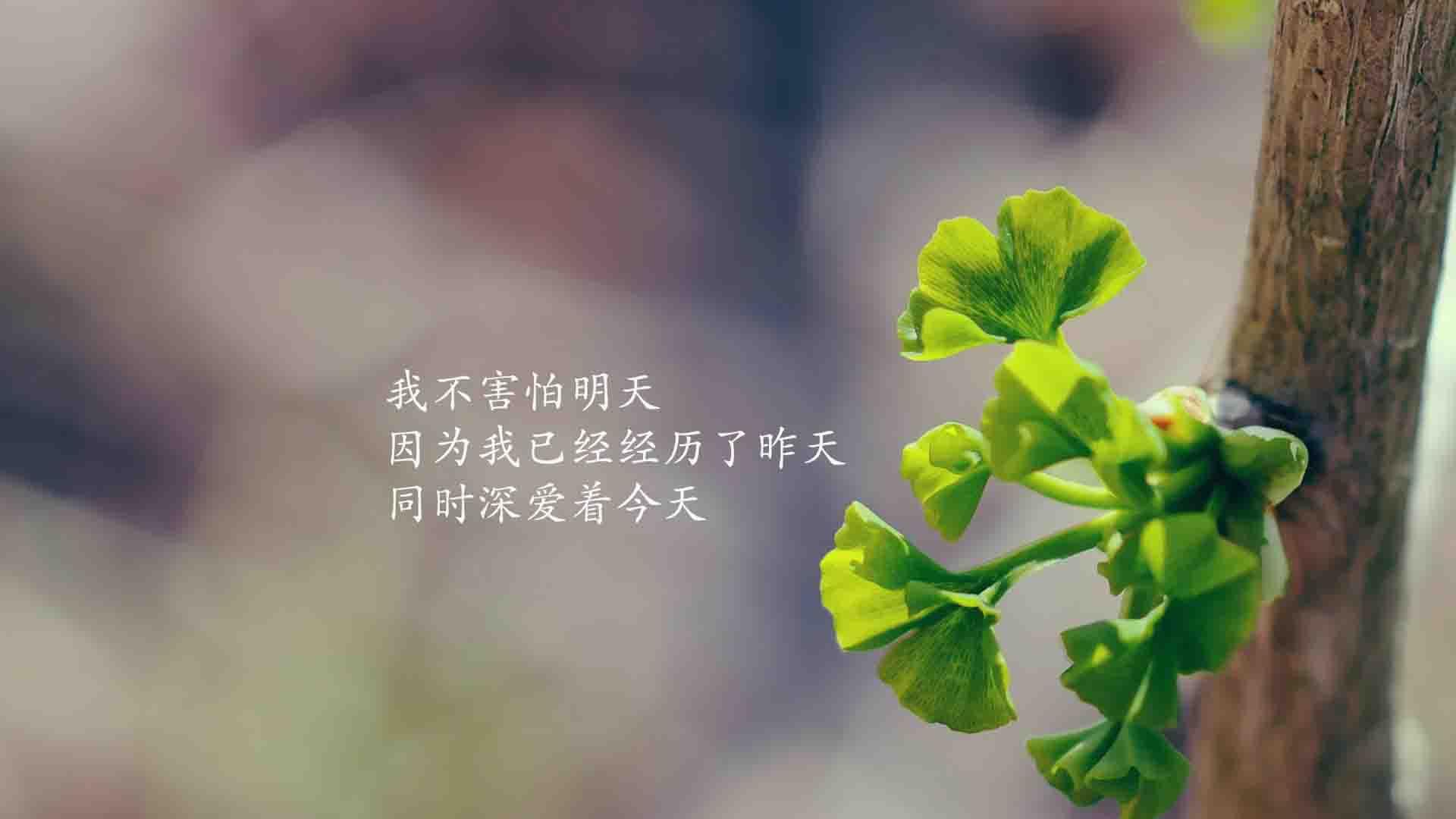 成都恒生指数交易规则!