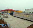杂粮真空包装机果脯自动连续拉伸真空包装机