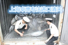 进口白俄罗斯蜜饯上海代理报关公司速度快图片0