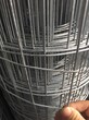 圈玉米电焊网圈玉米网——知名的圈玉米电焊丶丶丶丶丶丶图片
