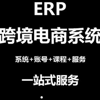 跨境电商无货源模式蚂蚁店长ERP系统贴牌