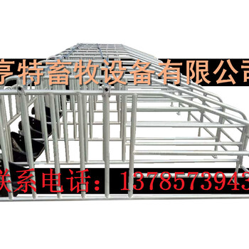 泊头市亨特畜牧设备售自动化定位栏/新型定位栏