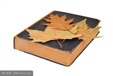 在广州口岸报关图书图册需要注意的点图片1