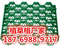 吕梁塑料植草格厂家图片0