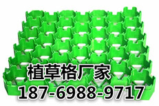 吕梁塑料植草格厂家图片2