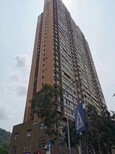 图片0