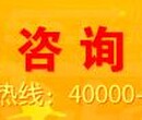 玉树代做各类PPT新服务系统上线中图片