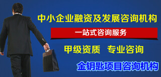 百色及全国代写项目可行性报告一直在追求服务更好图片1