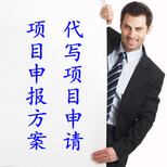 成功离不开湖北可行性报告代写图片3