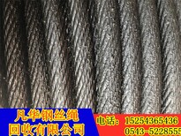 图片0