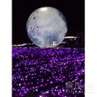 莲湖2018大型灯光节生产厂家梦幻灯光节灯光节图片