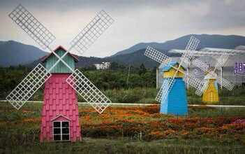 风车节制作设计厂家销售图片3