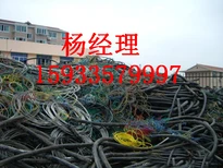 青岛市黄岛区电线电缆回收上门回收图片5