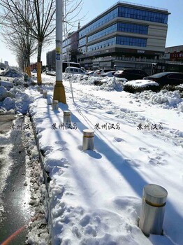 升降路障路桩挡车桩可移动路桩活动柱