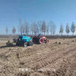全自动打捆机厂家图片2