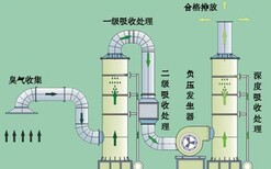 图片0
