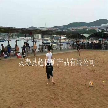 厂家批发跳远沙坑沙子跑马场用的黄色海沙40-60目淡化海沙