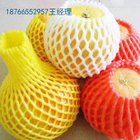 福建芒果网套机，水果发泡网兜网袋机图片0