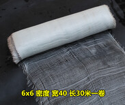 供应新疆玻璃丝布价格纤维布厂家图片0