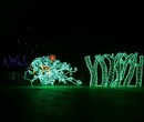 松江梦幻灯光节制作欢迎考察