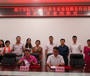 广西高端壮乡黄牛牛肉养殖基地供给广西牛犊图片