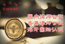 图片0