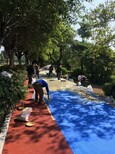 湛江坡头区咏彩兴邦彩色陶瓷颗粒防滑路面施工队胶水厂家图片4